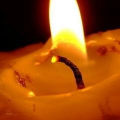 Михаил Мангибаев, Шапки