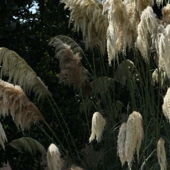 Ирина Катриченко, 12.05.1967