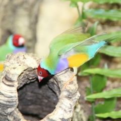 Наталья Куракина, 26.04