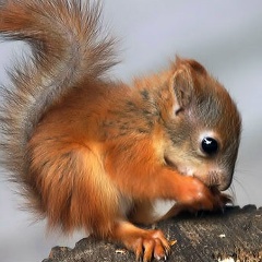 Алексей Кауров, Москва