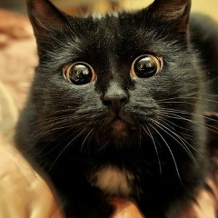 Юрий Калиев, 26.12, Рязань