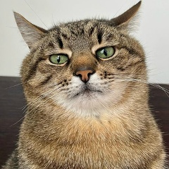 Сергей Гущин, 16.05.1985, Москва