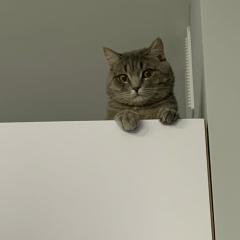 Жанна Капенова, 27.02, Астана