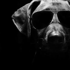 Vitor Sena, 16.10.1999, Goiânia