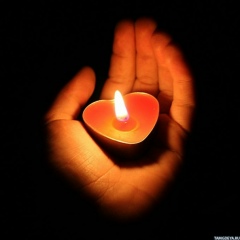 Василь Маркович, 16.01.1986