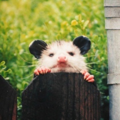 Даша Кустова, 12.10, Санкт-Петербург