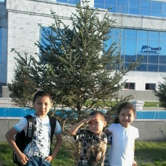 Шынар Камысбаева