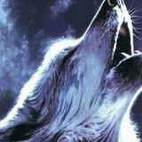 Ахмед Муцелханов, 23.02.1997