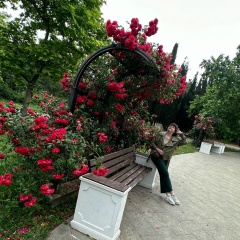 Елена Липовецкая, 16.04