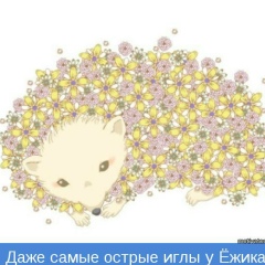 Роза Ежович, Днепр (Днепропетровск)