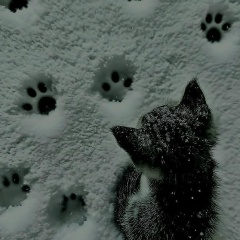 Павлик Худоногов, Красноярск