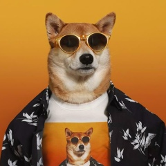 Дмитрий Козлов, 20.08, Санкт-Петербург