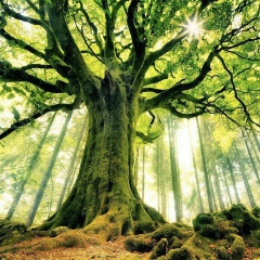 Раушан Иманбекова, 05.09.1985, Алматы