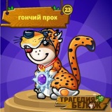 Доржу Яер, 17.08, Москва