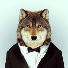 Ruslan Nurlibekov, 05.04, Алматы