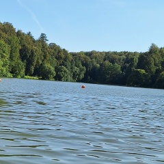 Камал Рзаев, 14.03.1990