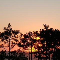 Ольга Клён, 05.05