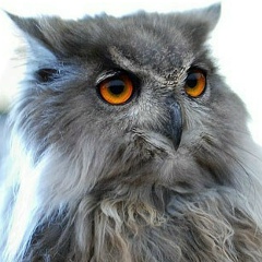 Иван Маслов, 20.08.1994, Москва