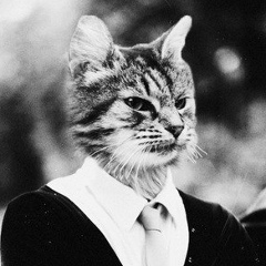 Роман Акопов, 01.04, Москва