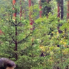 Сергей Иорданишвили, 11.03