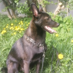 Надежда Лесникова, 05.09, Санкт-Петербург