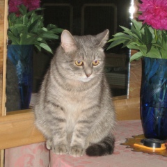 Елена Пономаренко, 22.04, Москва