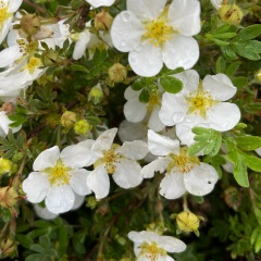 Кристина Юрова, 16.12