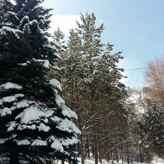 Айнура Кангельдина, 08.12, Актобе
