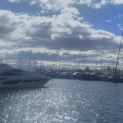 Оксана Кувико, Alicante