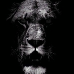 Аббас Аббасов, 12.06.1993, Новый Уренгой