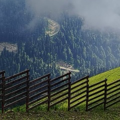 Евгения Цевденова, 19.06