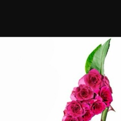 Асем Сарсембаева, 17.10.1984, Алматы