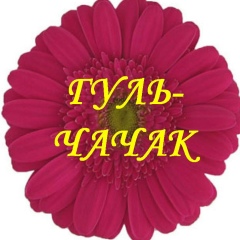 Гульчачак Зирган, Зирган