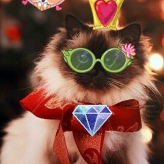 Polina Chebakova, 25.06.2006, Москва