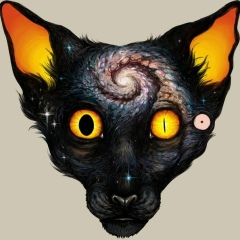 Юрий Теляков, 01.02.1988, Санкт-Петербург