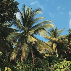 Михаил Кортуков, 12.03.1990