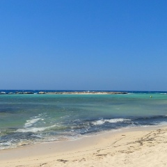 Нуся Кубеева, 25.11.1990, Москва