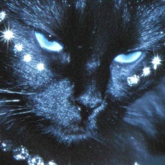 Светлана Светланова, 14.07, Старый Оскол