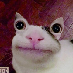 Сергей Коршунов, 20.09, Москва