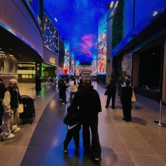 Анна Акалаева, Incheon