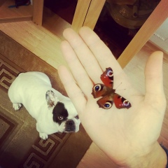 Inga Gabelaya, 06.05.1981, Санкт-Петербург