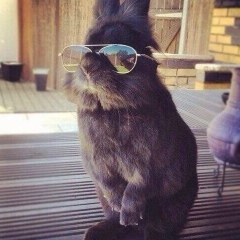 Роман Марченко, 02.07, Киев