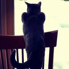 Эльдар Ахмедов, Ростов-на-Дону