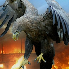 Ольга Шемловская, 15.04.1979, Харьков