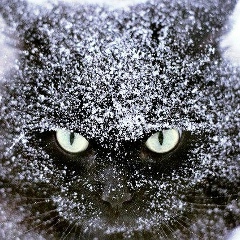 Ольга Рябова, 21.05.1988, Москва