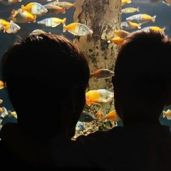 Михаил Набережнев, 02.04.1986, Санкт-Петербург