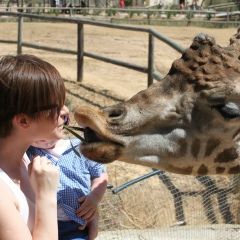 Дарья Трофименко, 01.09, Санкт-Петербург