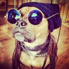 Багдаулет Махмудов, 23.03, Алматы