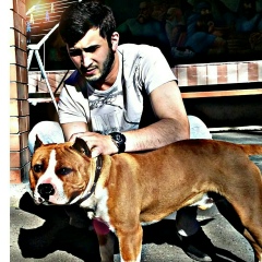 Zaur Гогичаев, 13.12, Владикавказ