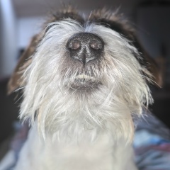 Мария Быковец, 03.12, Мурманск